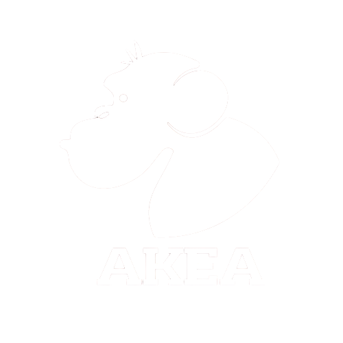 akea colombia